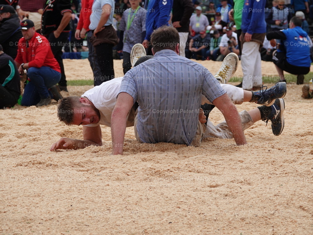 DSC08030 | Schwingen - Realisiert mit Pictrs.com
