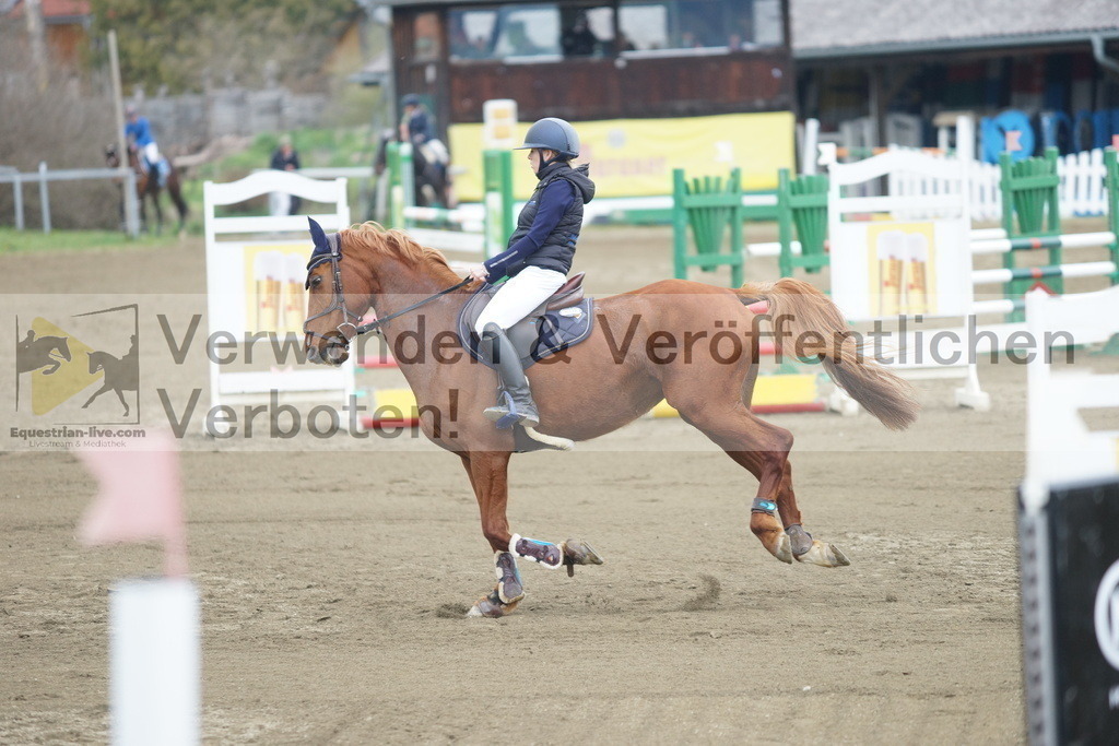DSC00950 | equestrian-live-com