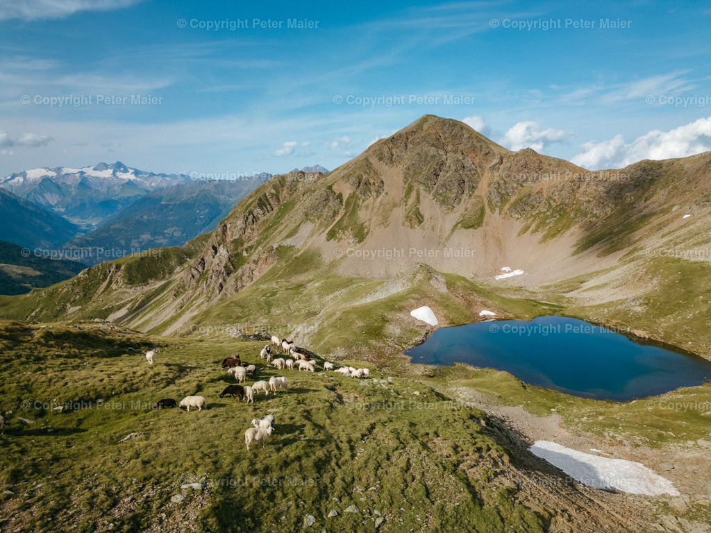 Ochsenalmsee_Michelbachtal_Sommer_2024-1741 | piet_flosse