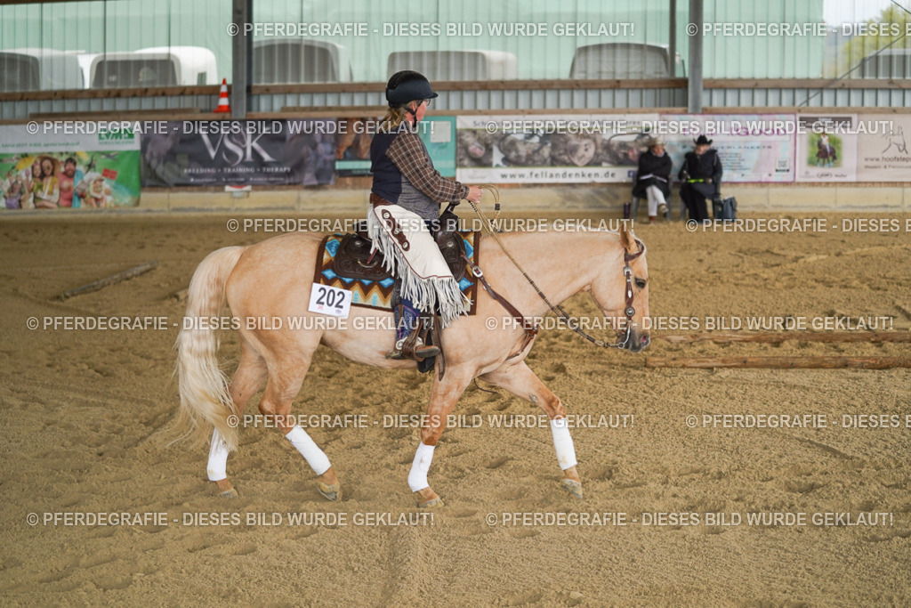 DSC04961 | Pferdegrafie