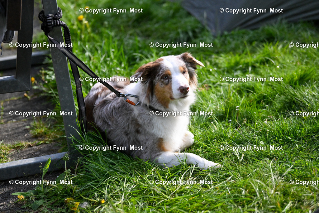 DSC_2761 | Hallo und herzlich Willkommen auf meiner Shop-Seite Fynn Most.

Ich wünsche Dir viel Spaß beim stöbern durch die Bilder, wenn Du Fragen hast oder Bilder vermisst, kannst du mir gerne eine Nachricht schreiben. - Realisiert mit Pictrs.com