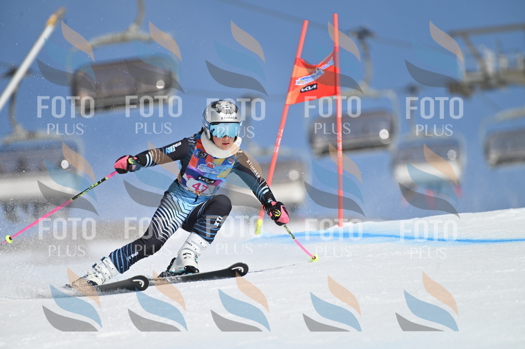 BGV_8479 | holidayphoto