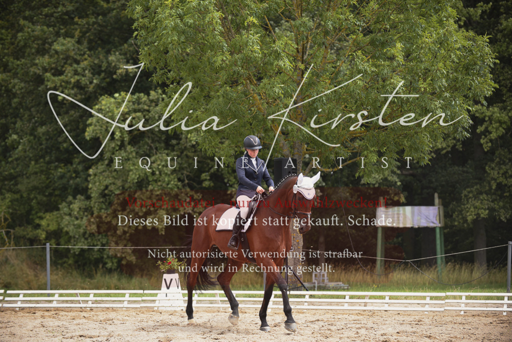 DSC_1455 | Pferde- und Turnierfotografie in Westsachsen. Pferdeportraits, Auftragszeichnungen und intuitive Kunst.