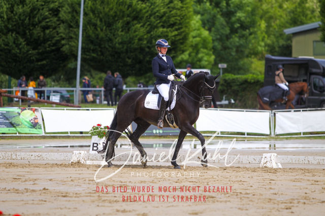 DKP40598 | Turniersportfotografie; Pferdefotografie; Dressurfotografie