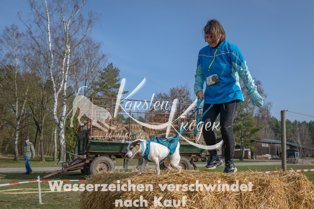 _ZZ91423 | kk-dogfotos