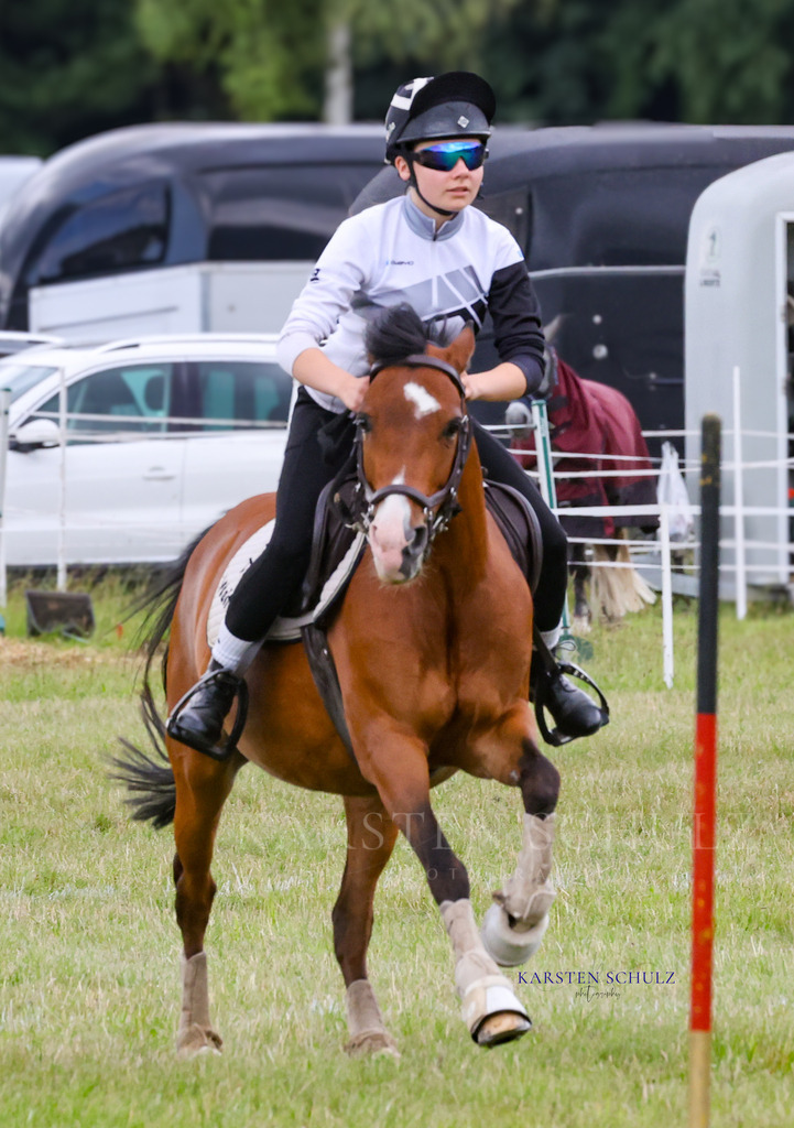 1B3A0738 | Reitsport Reiten