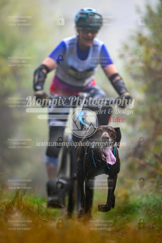 MompixPhotography_20TSB_E4_Bike-54 | PayLife