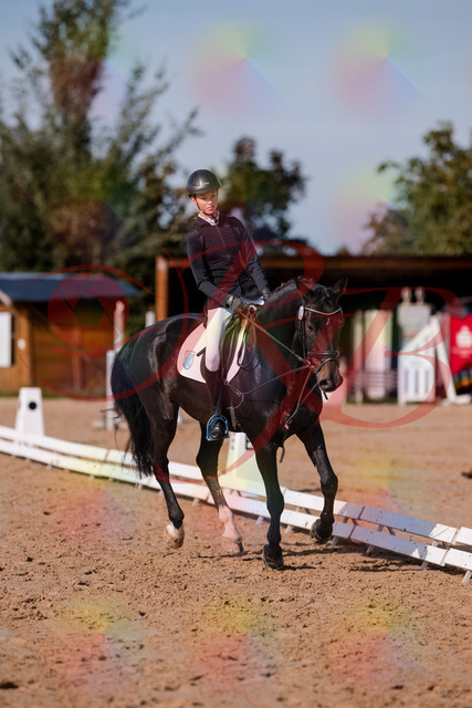 2026_10_03_Siefer-Hof_115749_Z81_98882030 | Professionelle Reitsport-, Turnier- und Eventfotografie von Robert Broda. Galerien mit ausgewählten und bearbeiteten Bildern direkt online ansehen und bestellen.
