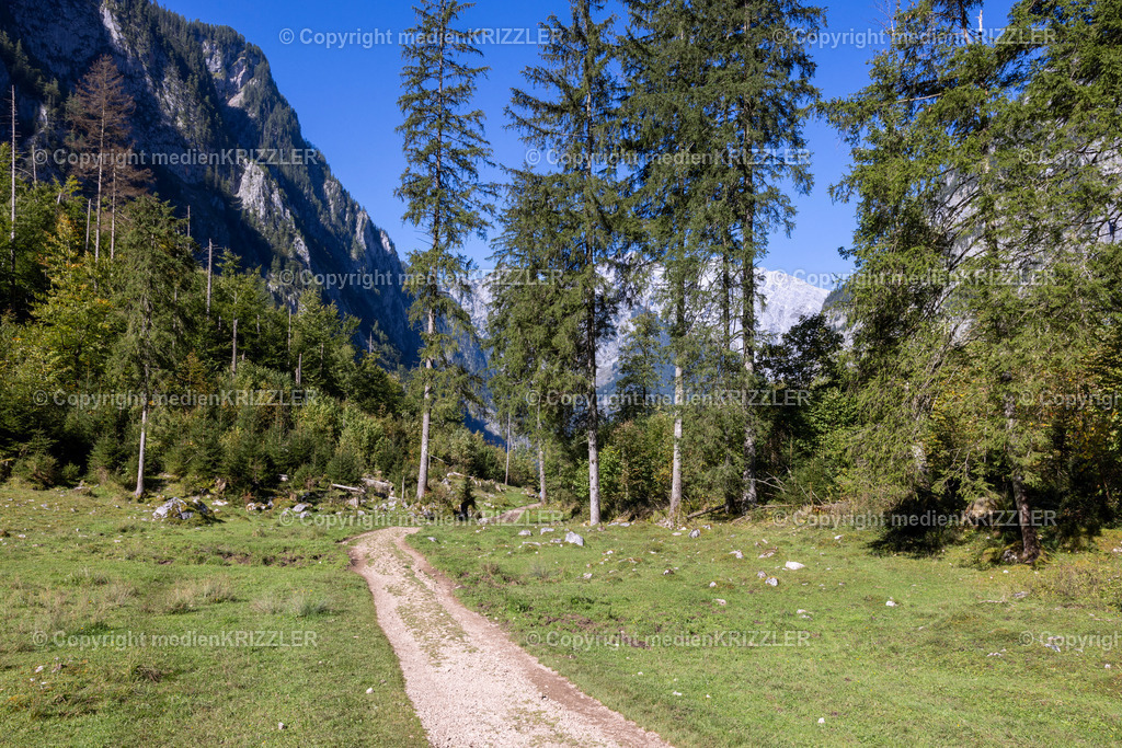Königssee | medienkrizzler - Realisiert mit Pictrs.com