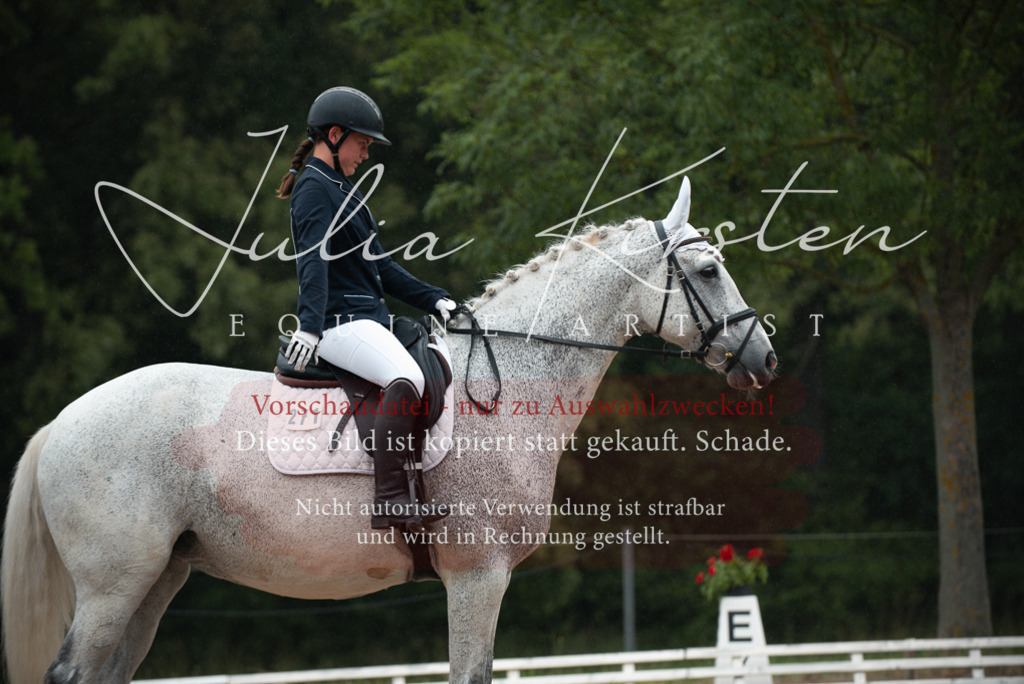 DSC_9705 | Pferde- und Turnierfotografie in Westsachsen. Pferdeportraits, Auftragszeichnungen und intuitive Kunst.