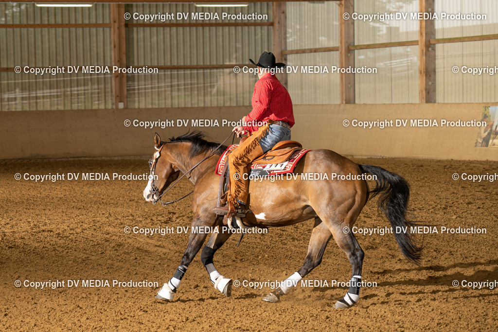 LAU00963 | dv-media-shop - Realisiert mit Pictrs.com