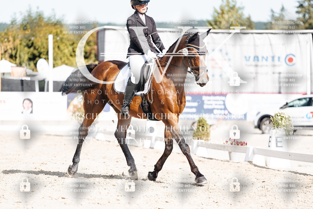 CK905712 | Turnierfotografie Pferdefotografie Trier Rheinland-Pfalz Pferdesport Reitsport Tierfotografie Sportfotografie Pferdevideo Pferdevideografie Equestrianvideography equestrianphotography  - Realisiert mit Pictrs.com