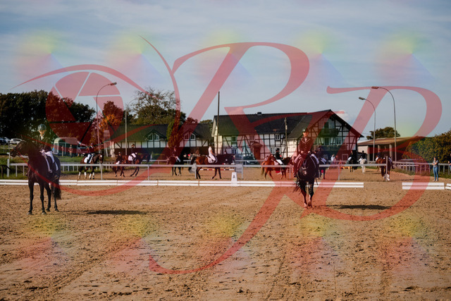2026_10_03_Siefer-Hof_121818_Z63_42016457 | Professionelle Reitsport-, Turnier- und Eventfotografie von Robert Broda. Galerien mit ausgewählten und bearbeiteten Bildern direkt online ansehen und bestellen.