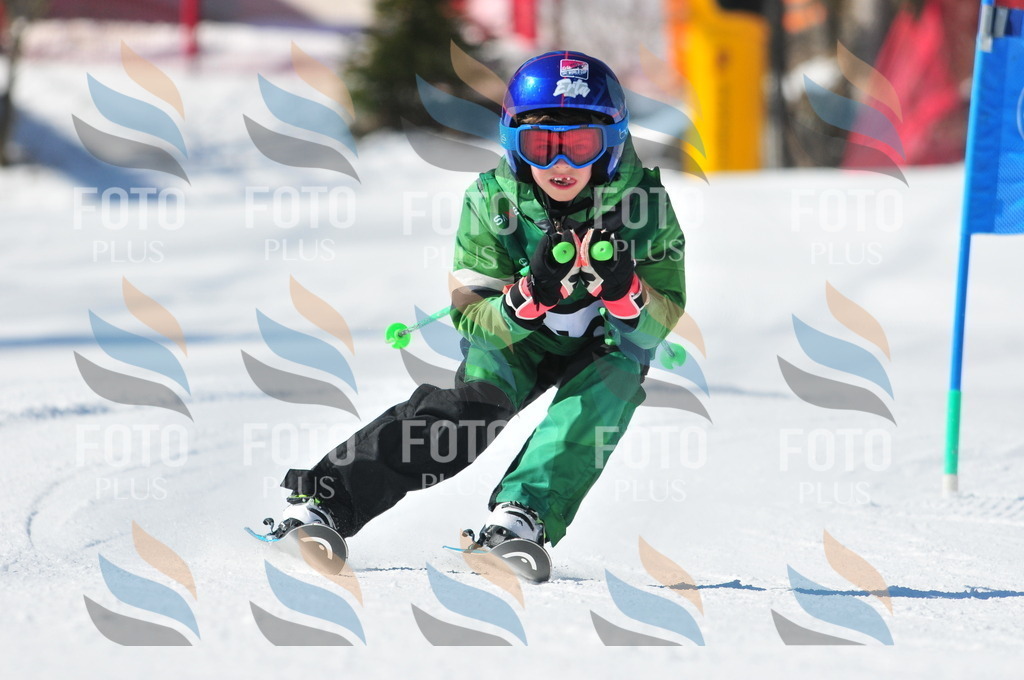 C2927 | holidayphoto