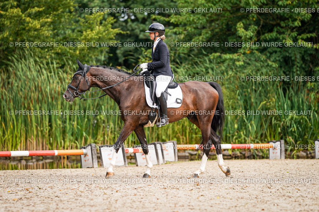 DSC01724 | Pferdegrafie