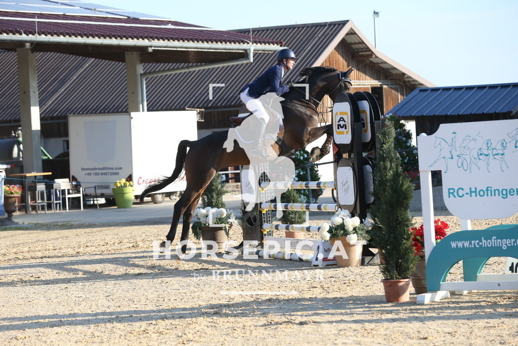 DL2Q1425 | Willkommen bei Brunnmayr - Design & Fotografie – Ihrem Spezialisten für Reitturniere und Pferdeveranstaltungen in Oberösterreich, Salzburg und Bayern! Seit über 17 Jahren sind wir leidenschaftlich dabei.