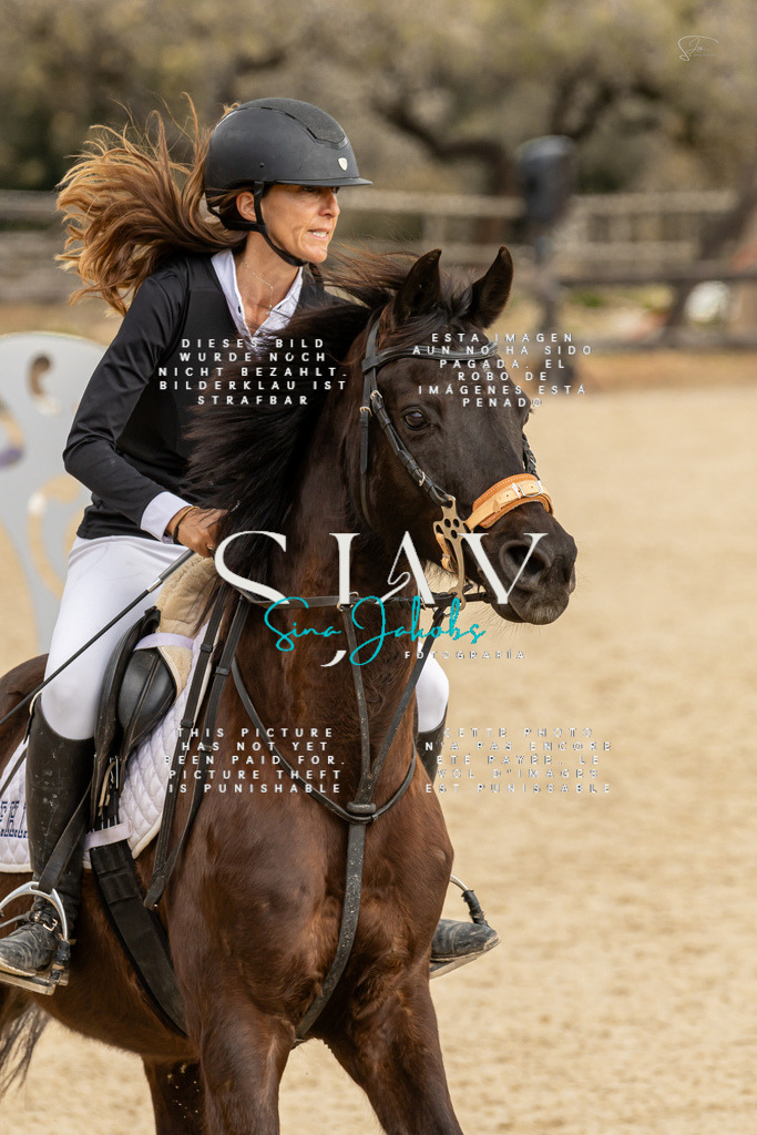 IMG_4537 | s-jay-photography - Realisiert mit Pictrs.com