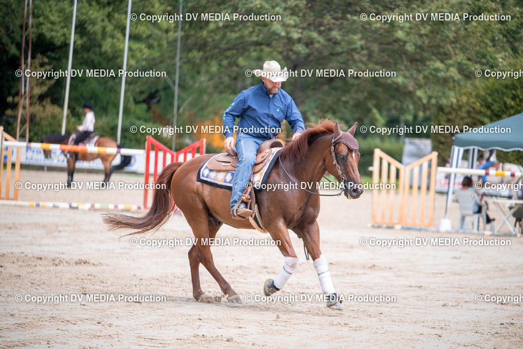 ZS3_5337 | dv-media-shop - Realisiert mit Pictrs.com