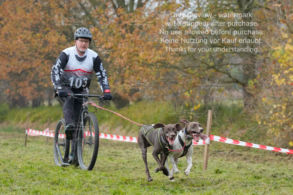 Visbeck_Sa_DS2DR2-50 | stephaniefillaphotographie - Realisiert mit Pictrs.com