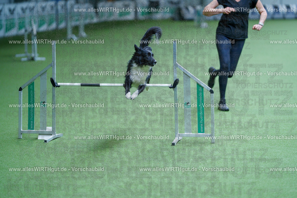 @allesWIRTHgut_Tierfotografie - www.allesWIRTHgut.de - 2604261237-7R501272 | Professionelle Tierfotografie in Mönchengladbach von Daniel Wirth (allesWIRTHgut). Liebevolle & natürliche Bilder von Hunden & Katzen für unvergessliche Erinnerungen.