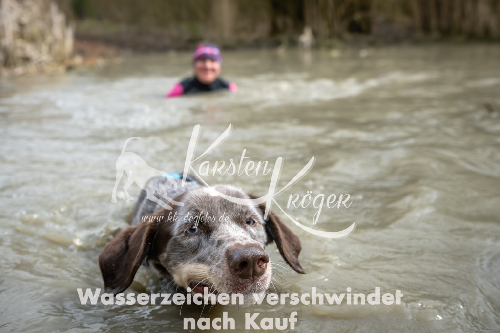 1504_ZZ91987 | kk-dogfotos