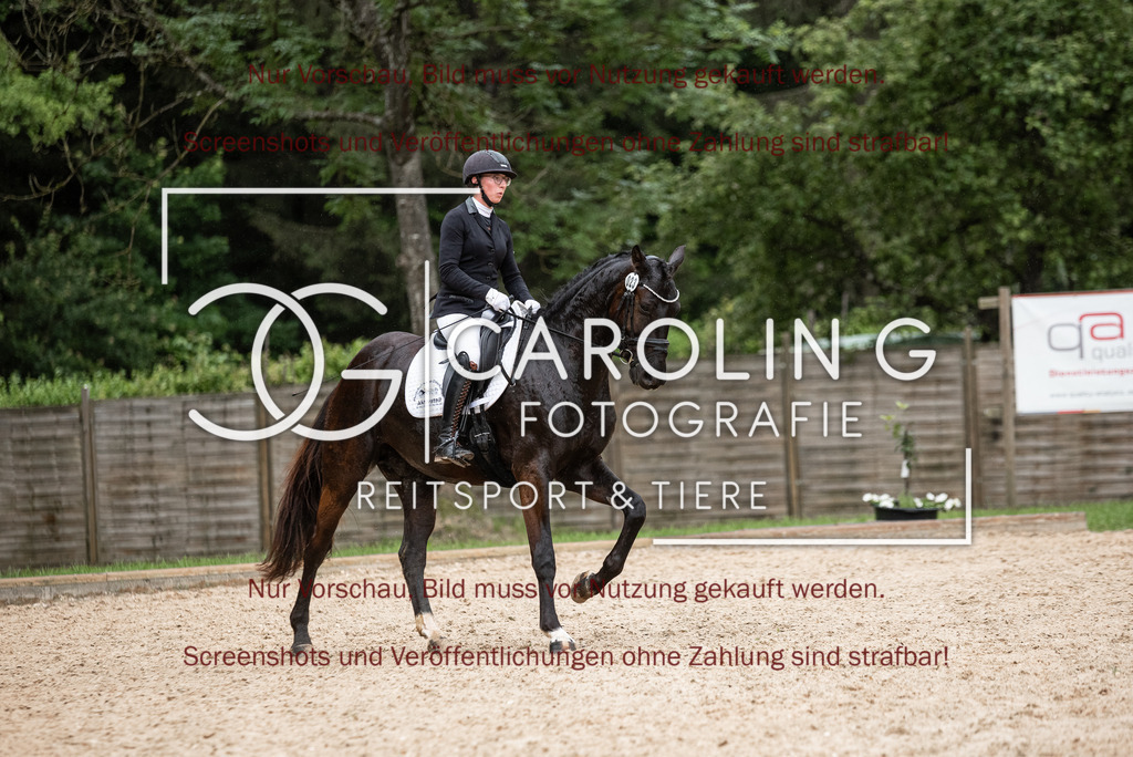 DSC_3211 | Turnierfotografin Carolin Gieschke,Reitsport Turnierfotografie Carolin G Fotografie | Turnierfotos aus Kirchheim/Teck, Esslingen, Stuttgart und dem Bodenseekreis