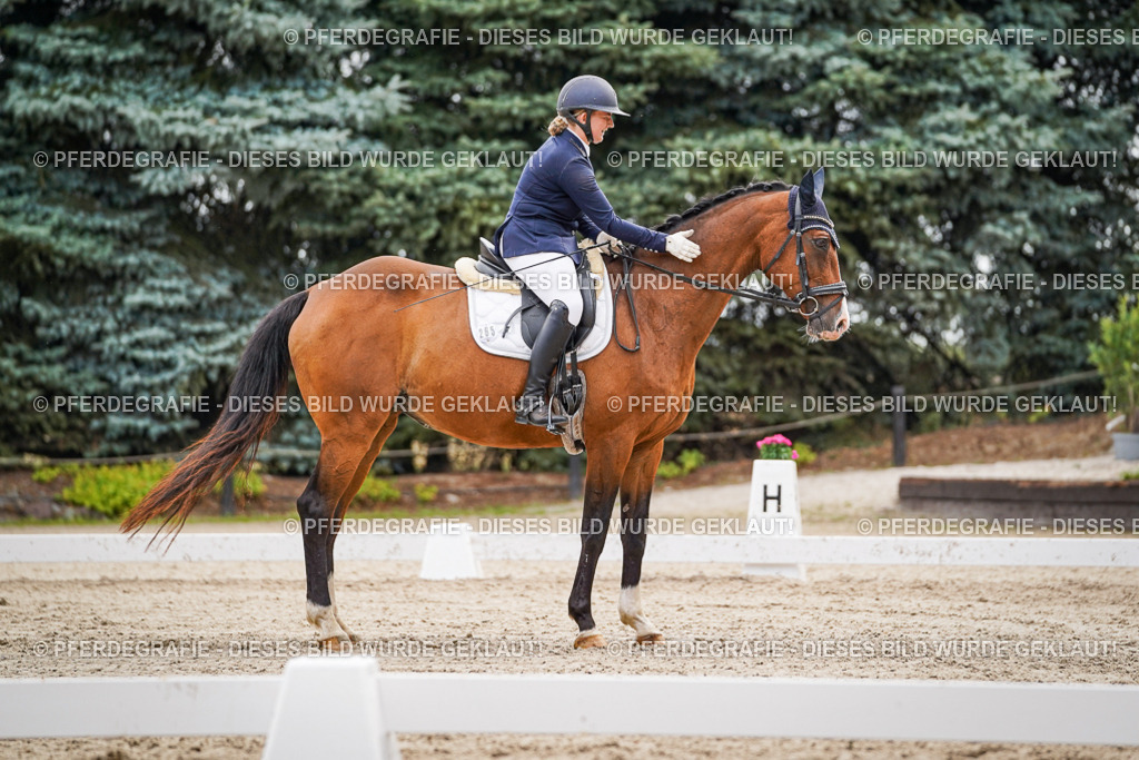 DSC02290 | Pferdegrafie