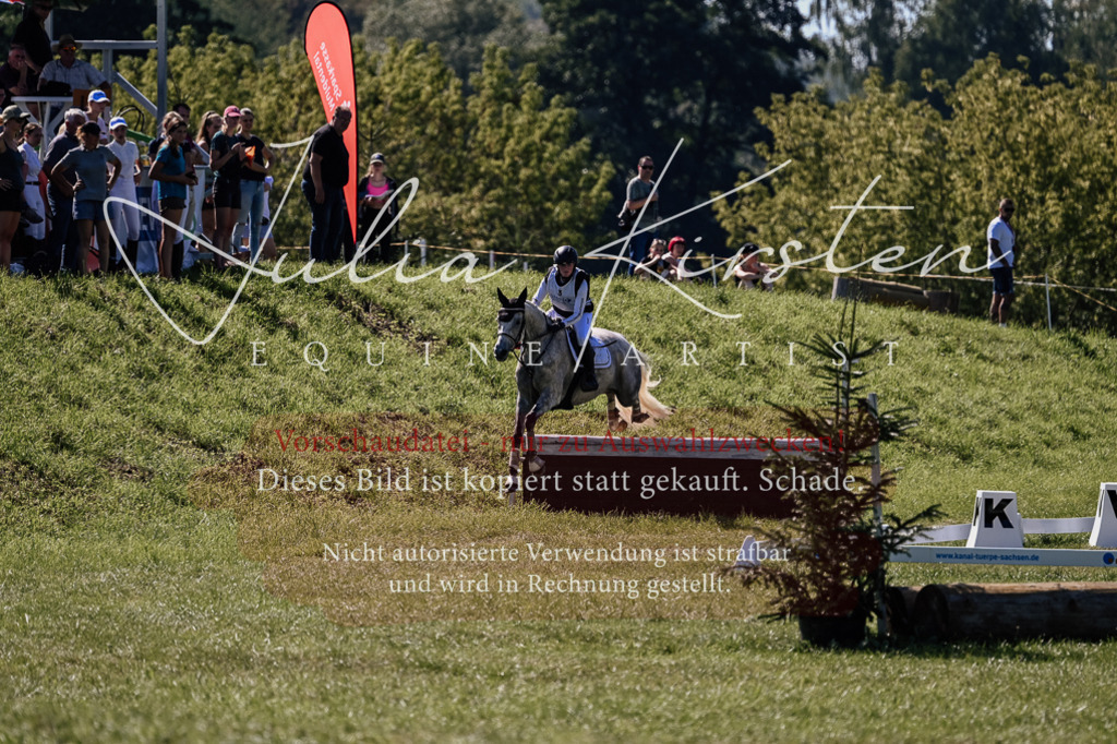 DSC_1395 | Pferde- und Turnierfotografie in Westsachsen. Pferdeportraits, Auftragszeichnungen und intuitive Kunst.