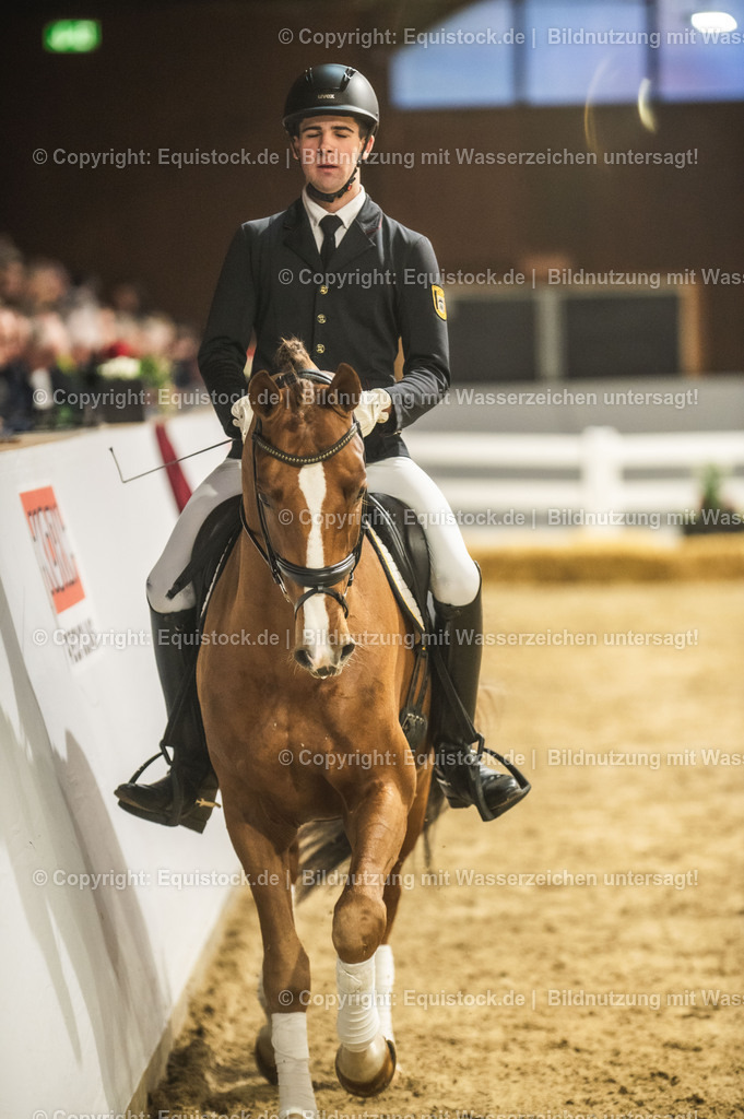20240302_Hengstvorstellung_Marbach_TOMsPiC_0334 | equistock