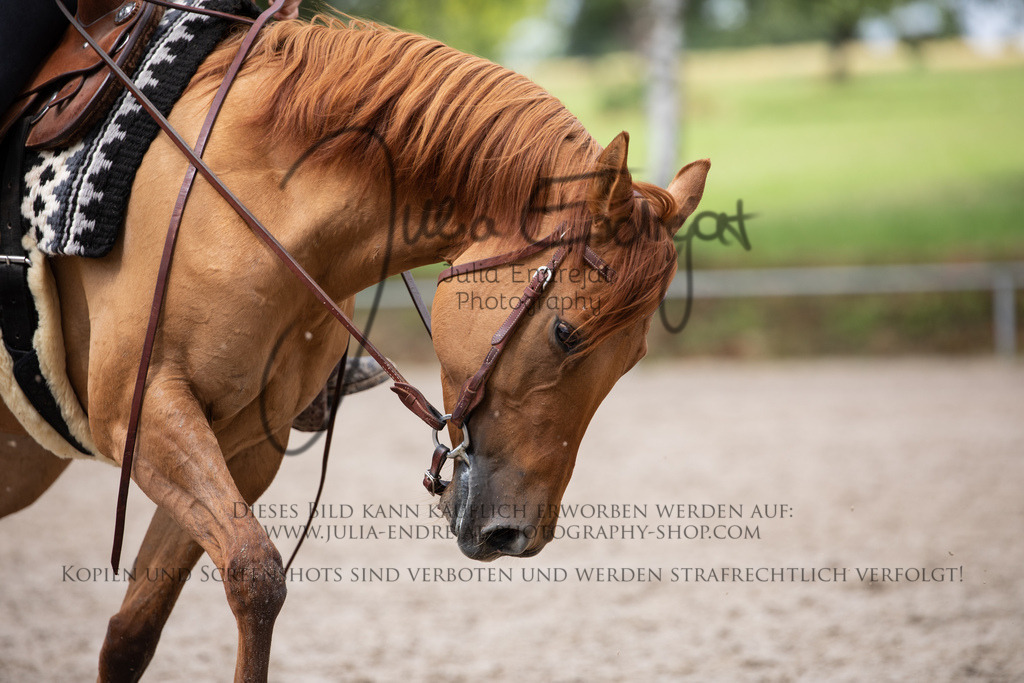 20220701-JuliaEndrejatPhotography-0967 | Julia Endrejat Photography