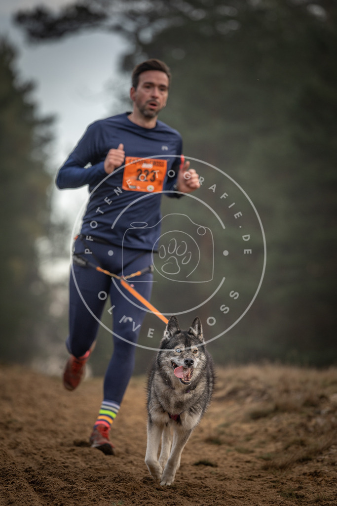 Pfotenfotografie_DV3A5379 | Hundefotografie, Tierfotograf, Pfotenfotografie, Fotoshooting Hund, Hunde Portrait, Hundesport, Hundeportraits, Heideshooting, Hunde, Sportfotograf, Hundefotograf, Turnierhundsport, THS,  - Realisiert mit Pictrs.com
