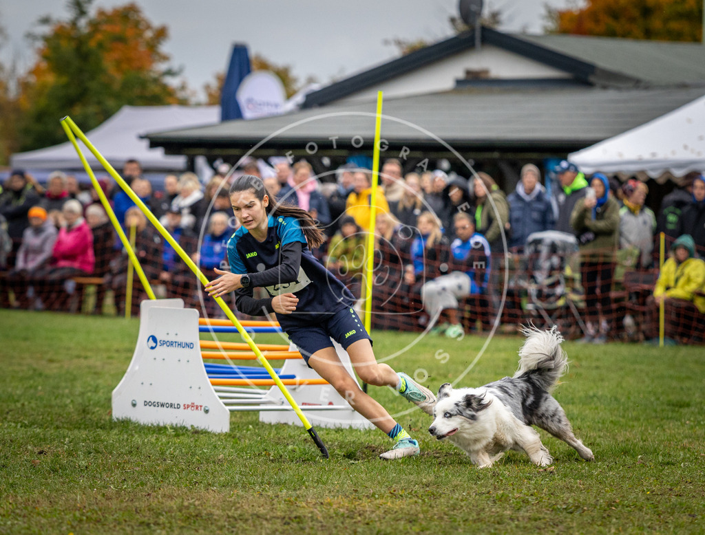 Pfotenfotografie_DV3A0612 | Hundefotografie, Tierfotograf, Pfotenfotografie, Fotoshooting Hund, Hunde Portrait, Hundesport, Hundeportraits, Heideshooting, Hunde, Sportfotograf, Hundefotograf, Turnierhundsport, THS,  - Realisiert mit Pictrs.com
