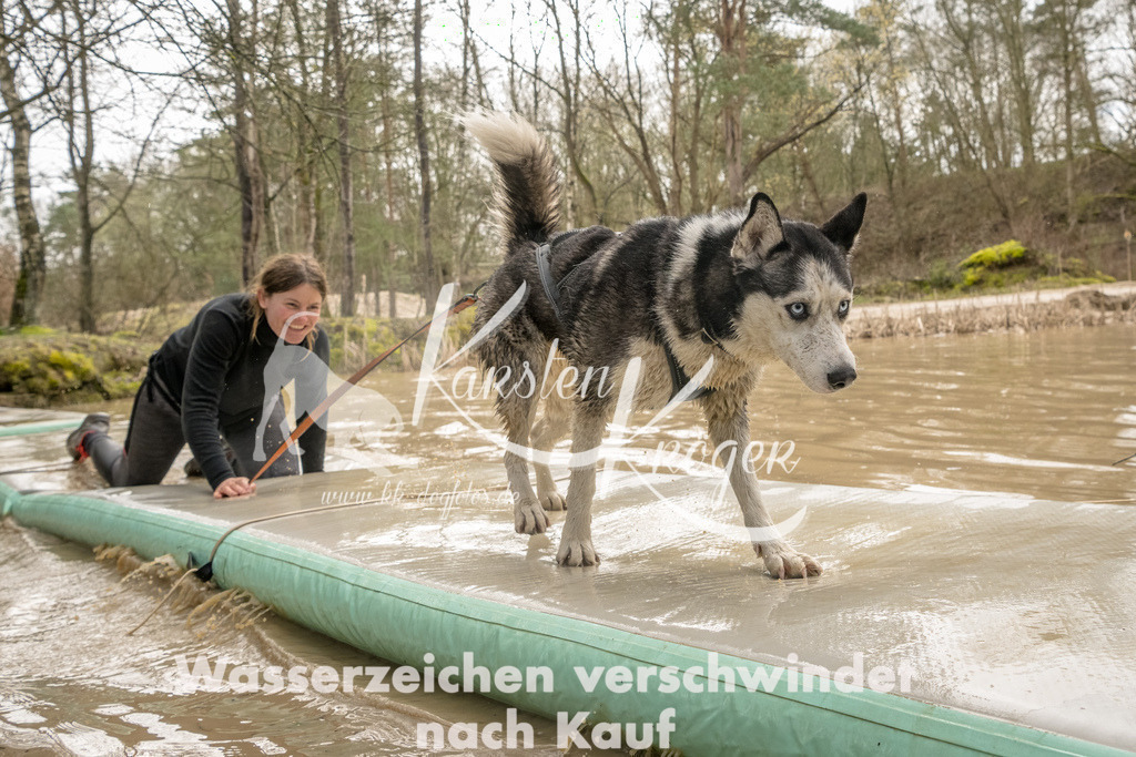 1344_ZZ90584-Bearbeitet | kk-dogfotos