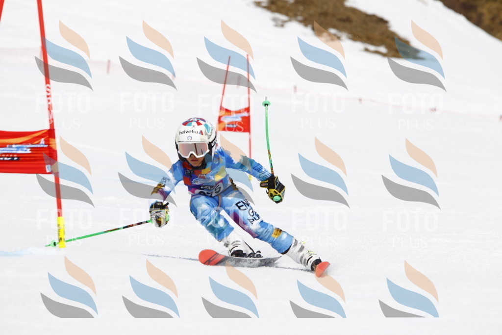 _U3G6897 | holidayphoto