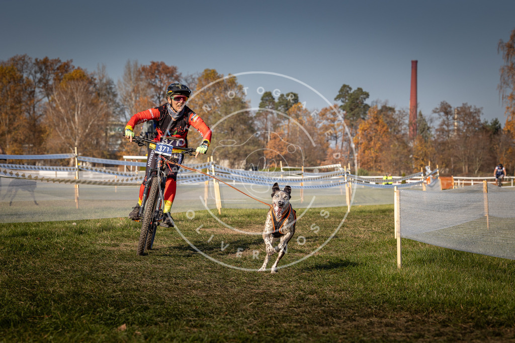 CaniXpix_0L8A7877 | Hundefotografie, Tierfotograf, Pfotenfotografie, Fotoshooting Hund, Hunde Portrait, Hundesport, Hundeportraits, Heideshooting, Hunde, Sportfotograf, Hundefotograf, Turnierhundsport, THS,  - Realisiert mit Pictrs.com