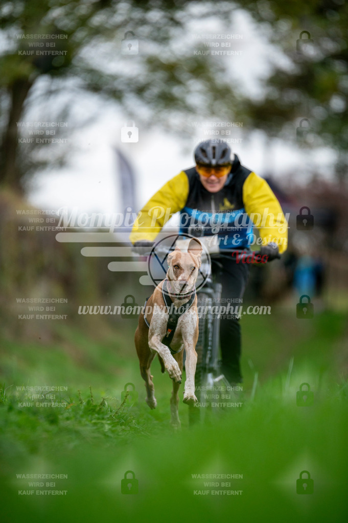 TSB_2023_E8_Bike-81 | PayLife