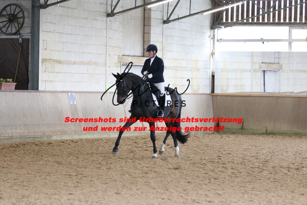 IMG_0165 | lmwpictures - Realisiert mit Pictrs.com