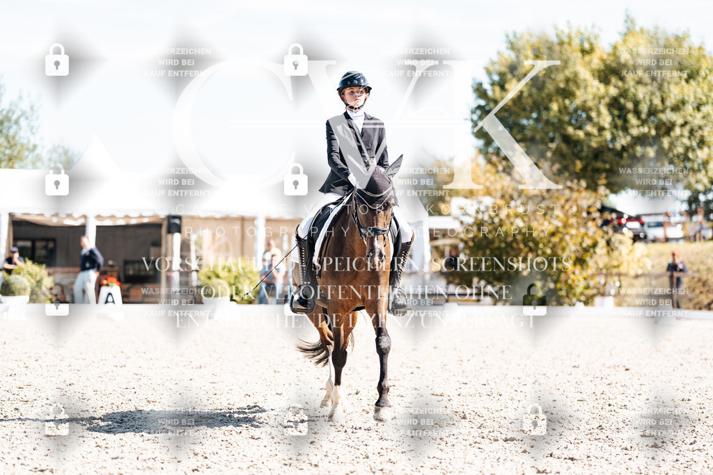CK909680 | Turnierfotografie Pferdefotografie Trier Rheinland-Pfalz Pferdesport Reitsport Tierfotografie Sportfotografie Pferdevideo Pferdevideografie Equestrianvideography equestrianphotography  - Realisiert mit Pictrs.com