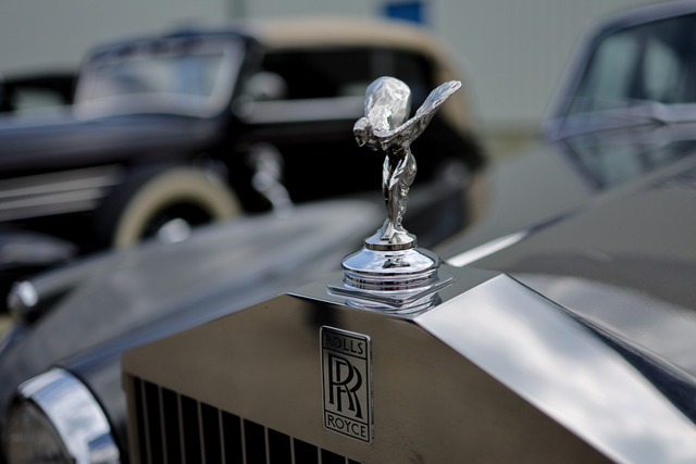 Calag_Oldtimer2025-44 | Ich fotografiere Hundeausstellungen, Sportanlässe, Zuchtstätten, Hundezucht, Hundeportrait, Lagotto - Realisiert mit Pictrs.com