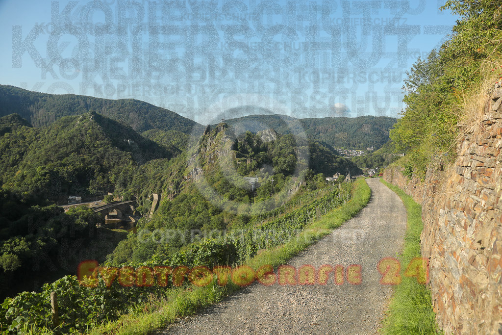 230826_0932_EX2_4992 | Eventfotografie 24
Sport- und Eventfotografie