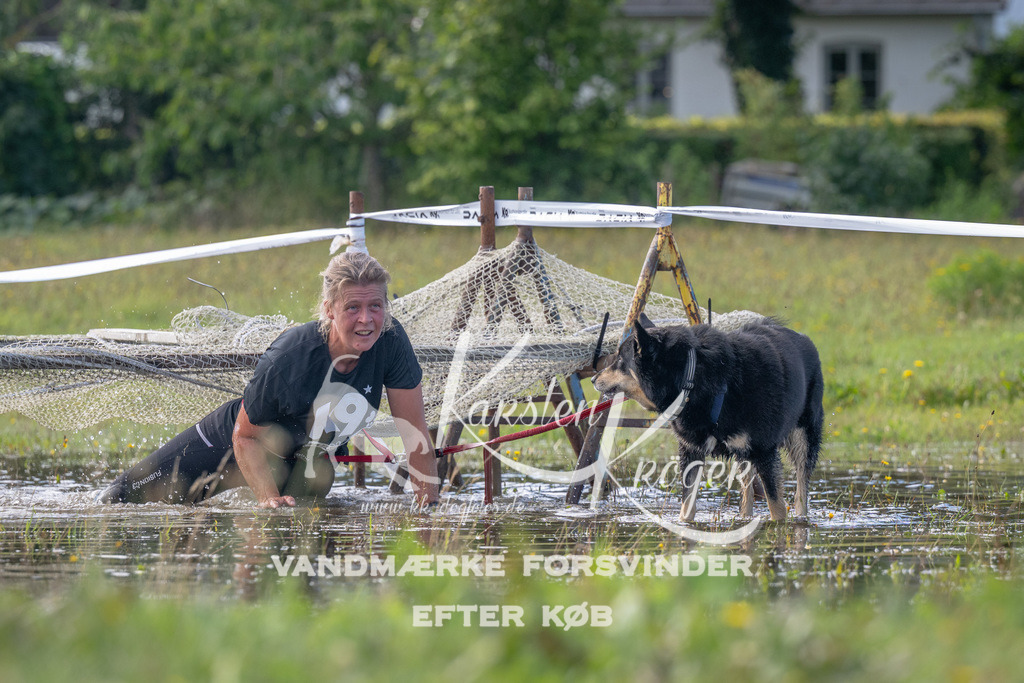 1151_ZZ90127 | kk-dogfotos