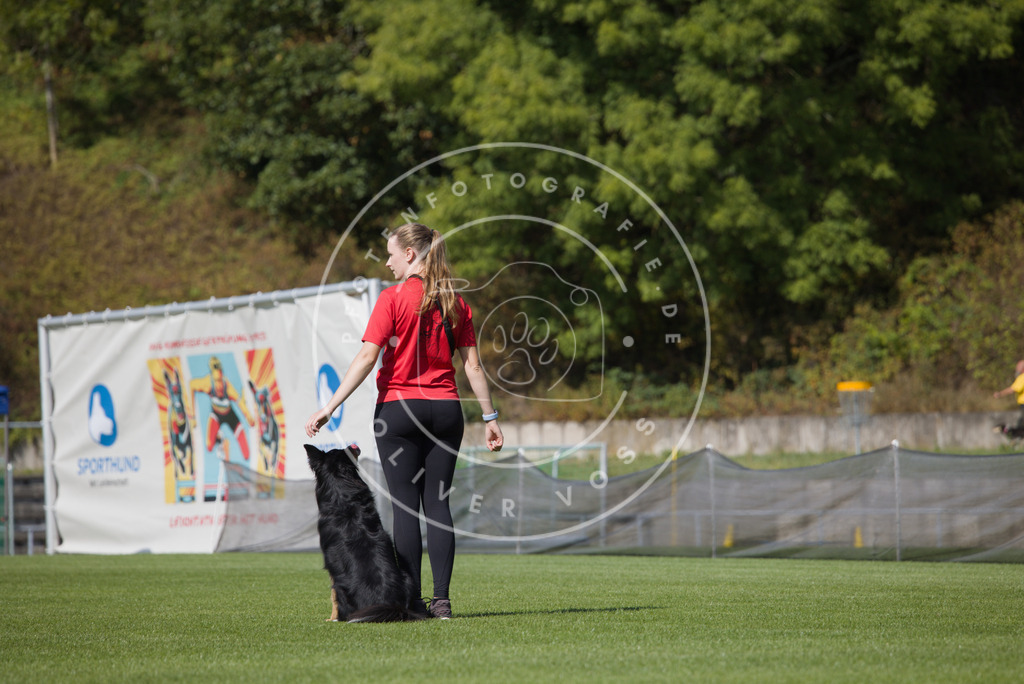 0L8A2563 | Hundefotografie, Tierfotograf, Pfotenfotografie, Fotoshooting Hund, Hunde Portrait, Hundesport, Hundeportraits, Heideshooting, Hunde, Sportfotograf, Hundefotograf, Turnierhundsport, THS,  - Realisiert mit Pictrs.com