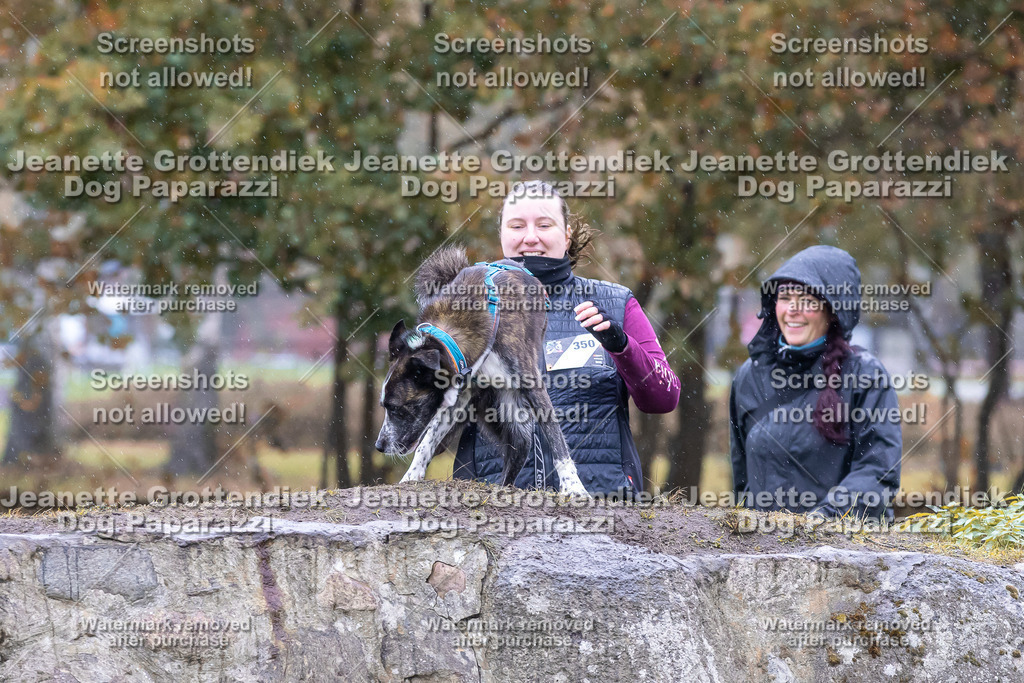 Dog Paparazzi - SD CaniX Championship 2025-771 | Dog Paparazzi Jeanette Grottendiek Fotografie & Videografie - Realisiert mit Pictrs.com