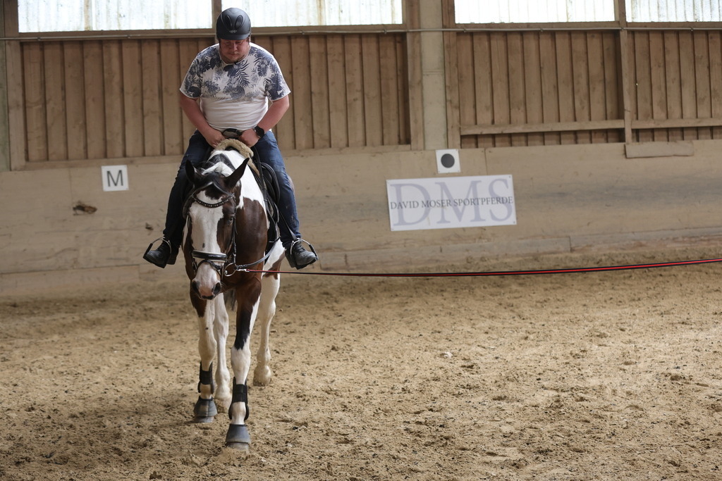 0P6A9140 | Willkommen bei Brunnmayr - Design & Fotografie – Ihrem Spezialisten für Reitturniere und Pferdeveranstaltungen in Oberösterreich, Salzburg und Bayern! Seit über 17 Jahren sind wir leidenschaftlich dabei.
