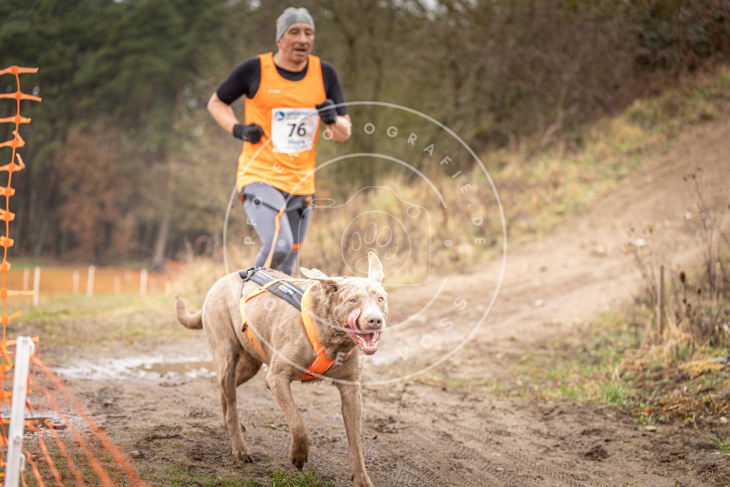 DV3A0307 | Hundefotografie, Tierfotograf, Pfotenfotografie, Fotoshooting Hund, Hunde Portrait, Hundesport, Hundeportraits, Heideshooting, Hunde, Sportfotograf, Hundefotograf, Turnierhundsport, THS,  - Realisiert mit Pictrs.com