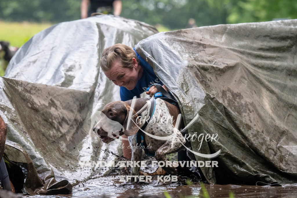 1138_ZZ93577 | kk-dogfotos