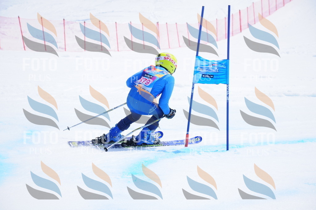 DSC_7405 | holidayphoto