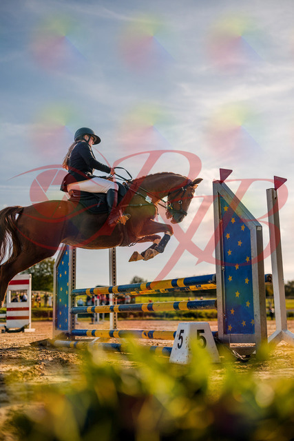 2026_10_03_Siefer-Hof_171655_Z63_21984453 | Professionelle Reitsport-, Turnier- und Eventfotografie von Robert Broda. Galerien mit ausgewählten und bearbeiteten Bildern direkt online ansehen und bestellen.