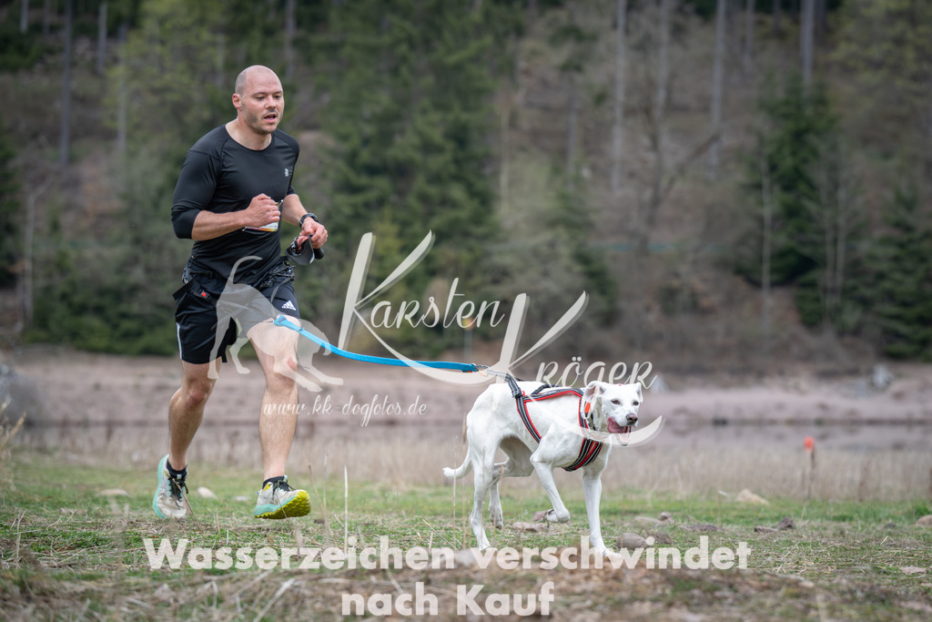 1810_ZZ94295 | kk-dogfotos