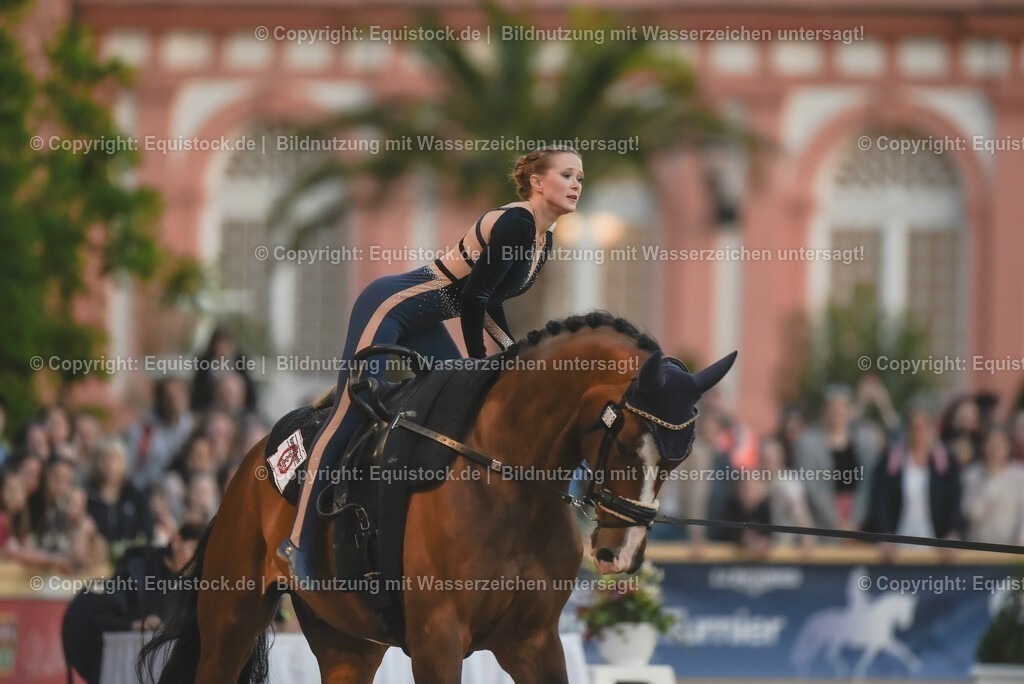 20230527_Voltigieren_NASPA_Flutlicht_0266 | equistock